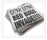 Philadelphia bed bugs removal experts